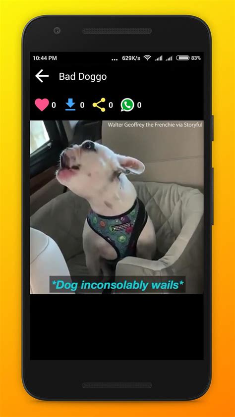 Funny Dog Video, Memes, for Android, walter dog HD phone wallpaper | Pxfuel