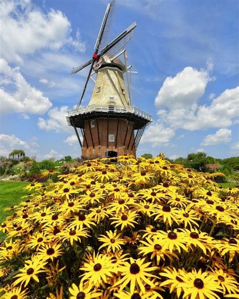 Windmill Island Gardens 2024: Go Inside the Holland Windmill, Learn ...