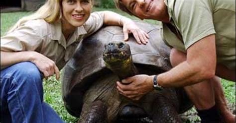 Darwin's Tortoise Dies After 176 Years - CBS News