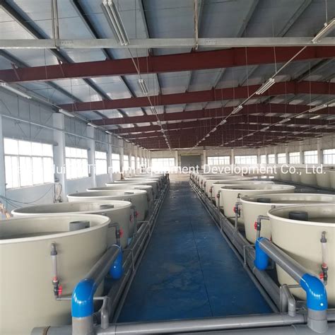 Ras Shrimp Farming, Indoor Shrimp Farming Equipment, Indoor Shrimp Farming - China Ras and ...