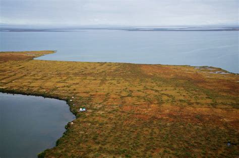 Hudson Bay Lowlands Archives - Permafrost lowlands in transition