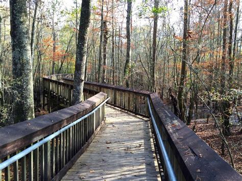 Tickfaw State Park In Louisiana Is Ideal For A Winter Getaway