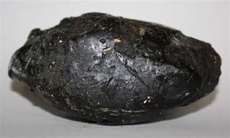 This is ambergris, whale vomit/fecal matter. It is formed from a ...