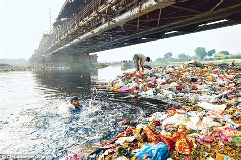 River Yamuna 'close to death': New study warns Delhi's waterway is 'toxic' even after treatment ...