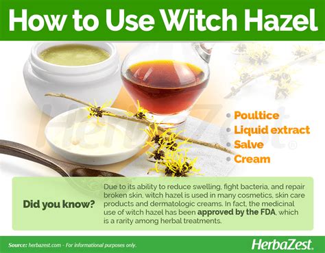 Witch Hazel | HerbaZest