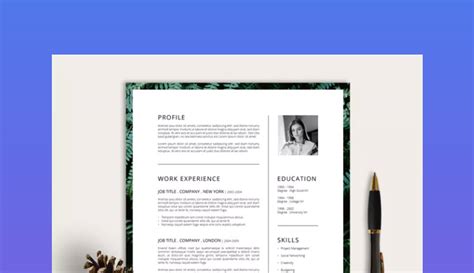 39+ Best Photoshop (PSD) Resume CV Templates (Photo Formats)