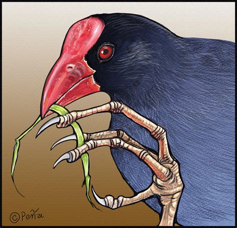 Pukeko by Reptangle on DeviantArt