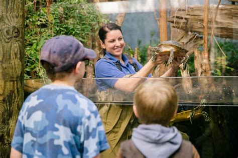 Chattanooga Aquarium: 45+ Essential Things to Know BEFORE Going