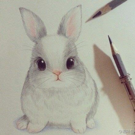 Cute Rabbit Drawing Realistic - Bunny Drawing