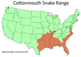 Copperhead vs Cottonmouth Snake Photos, Difference in Venom