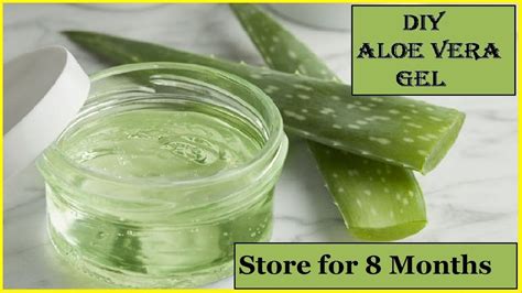 DIY Homemade ALOE VERA GEL | 100% Pure | How To Make Aloe Vera Gel And Store It For Months ...