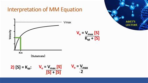 Michaelis-Menten Equation: Derivation and Interpretation - YouTube