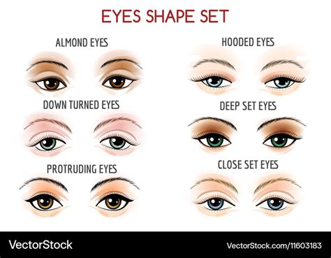 Eyes shape set Royalty Free Vector Image - VectorStock