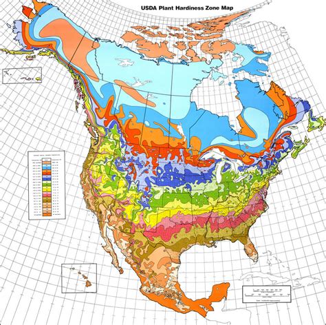 Us Planting Zones 2024 Map - Clara Sarita