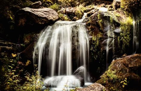 Triberg waterfall stock image. Image of forest, scenery - 137949357