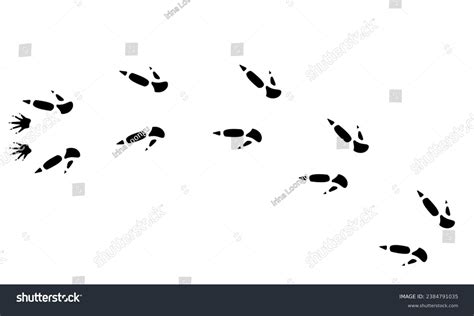 Kangaroo Footprint: Over 221 Royalty-Free Licensable Stock Vectors & Vector Art | Shutterstock