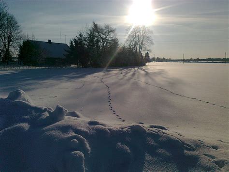 Estonians about Estonia: Winter in Estonia