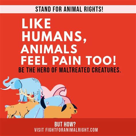 Animal Rights Awareness instagram post | Animal rights, Animal protection poster, Poster template