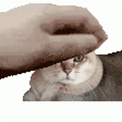 Pet The Cat Petpet Sticker - Pet The Cat Petpet - Discover & Share GIFs