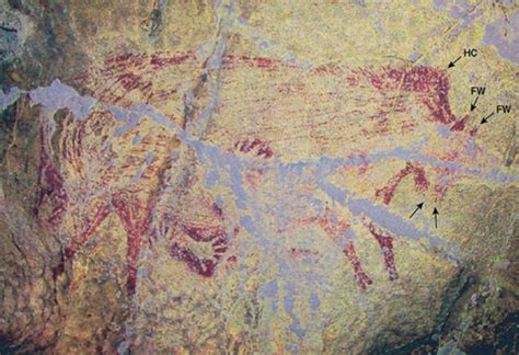 45,500-Year-Old Sulawesi Warty Pig Painting Found in Indonesian Cave | Archaeology | Sci-News.com