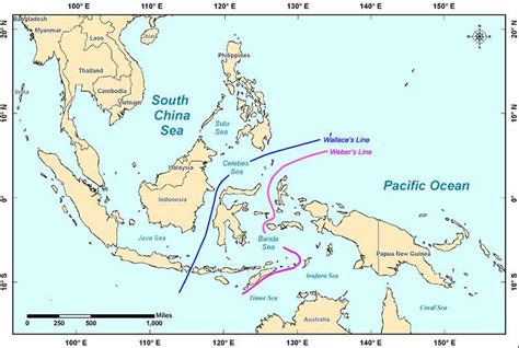 Celebes Sea Map