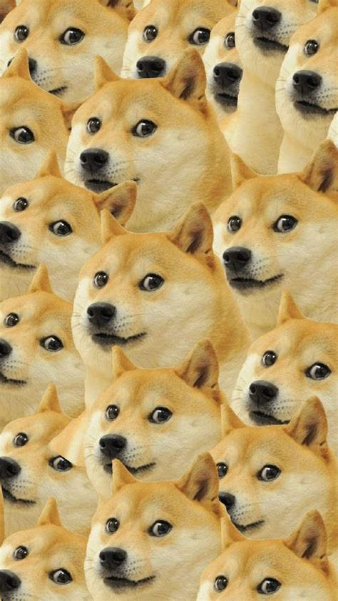 Shiba Inu Doge Wallpaper Home Screen | Dog wallpaper iphone, Dog wallpaper, Doge meme