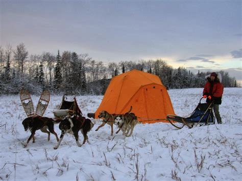 Dog Mushing Basics - SP Kennel