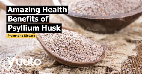 Psyllium Husk Health Benefits, Uses, Side Effects and Interactions ...