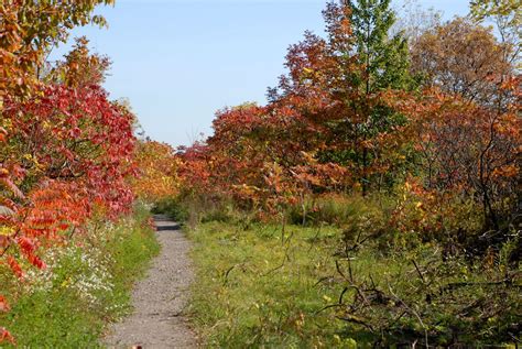 The Best Places to See Fall Foliage in Canada