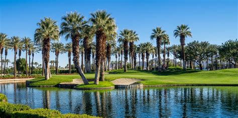 Palm Trees, Palm Desert Golf Course Stock Image - Image of center ...