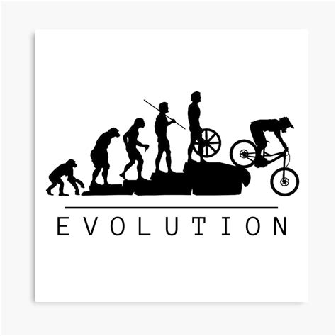 Evolution Bike | ubicaciondepersonas.cdmx.gob.mx