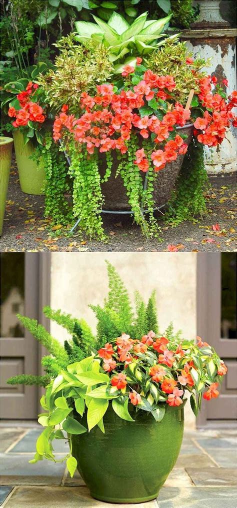 04 fabulous summer container garden flowers ideas Shade plants