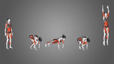 8 Best Burpee Variations (with Pictures!) - Inspire US