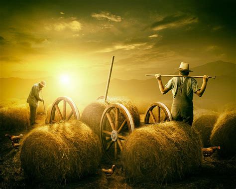 Farm HD Wallpapers - Top Free Farm HD Backgrounds - WallpaperAccess