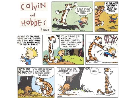 10 Calvin And Hobbes Comics That Sum Up Hobbes As A Character