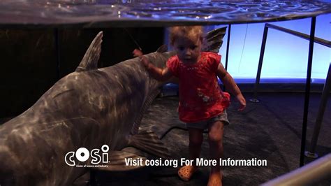 The WATER Exhibit at CoSi, Columbus, Ohio - YouTube