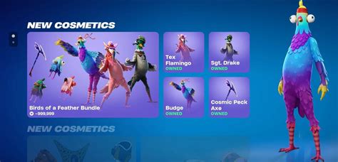 Upcoming Fortnite Bird Skins Leaked: Birds Of The Feather Set - The ...