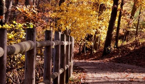 This Rhode Island Bike Ride Leads To Stunning Fall Foliage