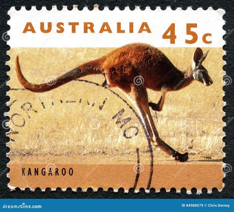 Kangaroo Australian Postage Stamp Editorial Photo | CartoonDealer.com #89463841