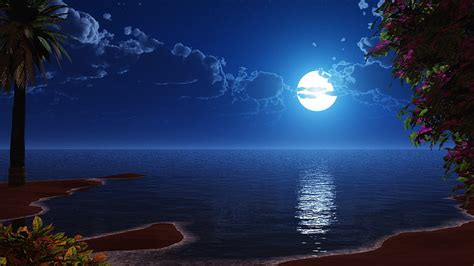 HD wallpaper: fantasy landscape, beach, night sky, seascape, ocean ...