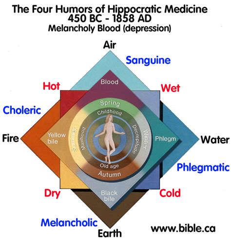 Humoral imbalances caused insanity: Insanity treatments: Blood letting, vomits, blisters and cupping