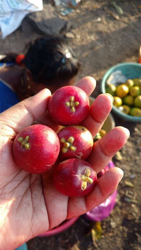 euphoRHEA: How to Make Kokum Sharbat