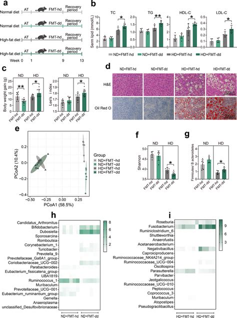 FMT-dd caused more severe dyslipidemia under HD after a 4-week recovery... | Download Scientific ...