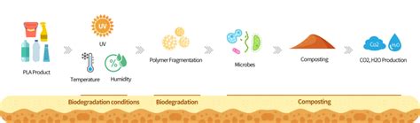 Biodegradation | 친환경 포장재