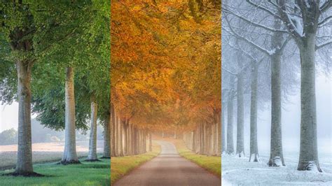 How to Photograph the Seasons - Nature TTL