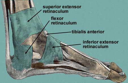 Wrist Extensor Retinaculum Injury