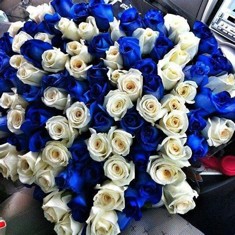 White and blue roses | Blue and white roses, Flowers wine, White roses