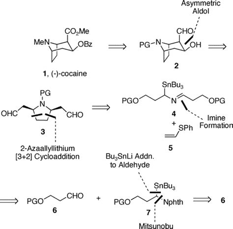 Synthesis of Tropinone & 2-CMT