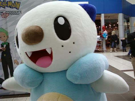 Oshawott by Velvet-Wolf on DeviantArt