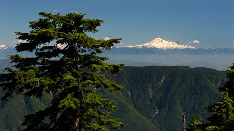 City of Maple Ridge, British Columbia - Intelligent Community Forum